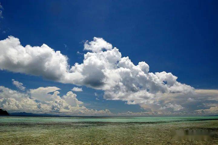 深情海岸简谱_惜别的海岸简谱(2)