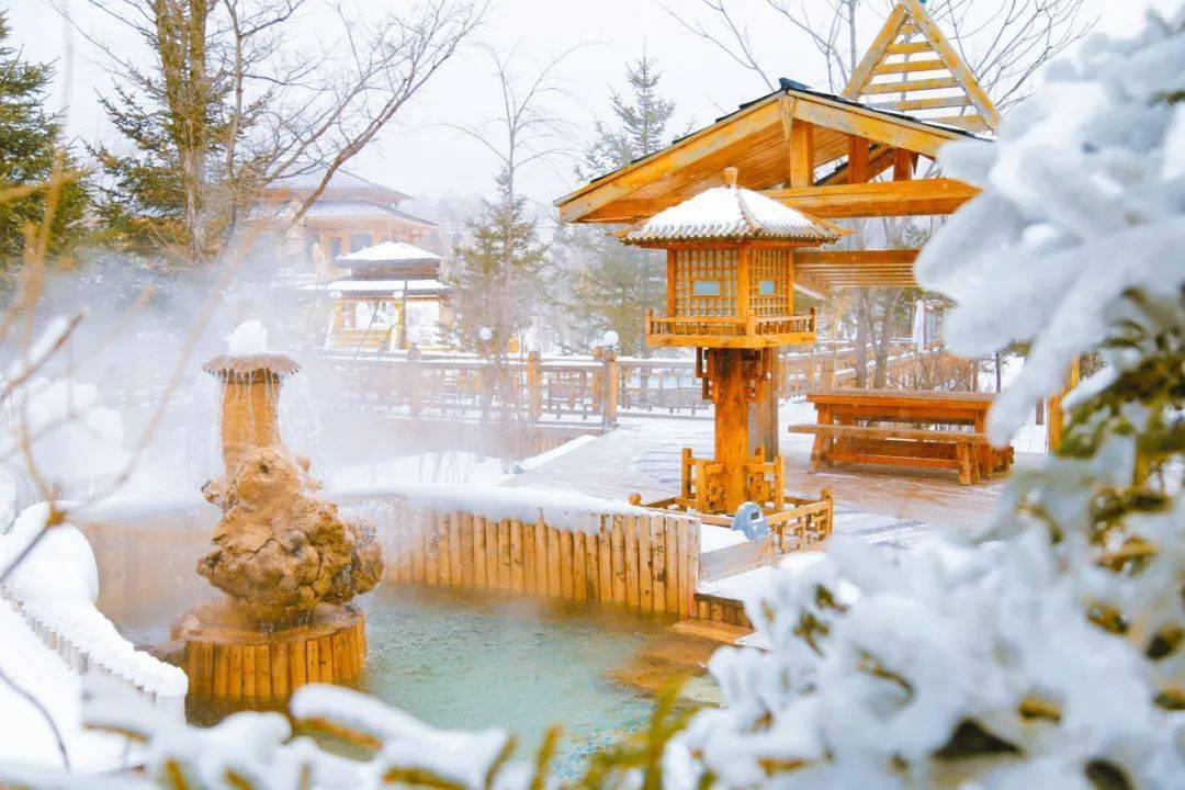 伊春宝宇森林温泉一日游只需128元每天发团不只是温泉