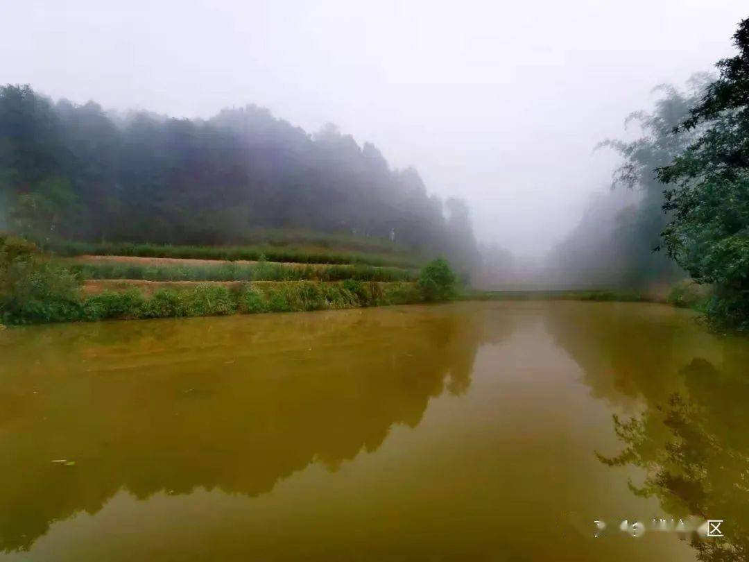 屏山多少人口_屏山风景速写