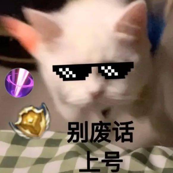 王者荣耀猫狗表情包