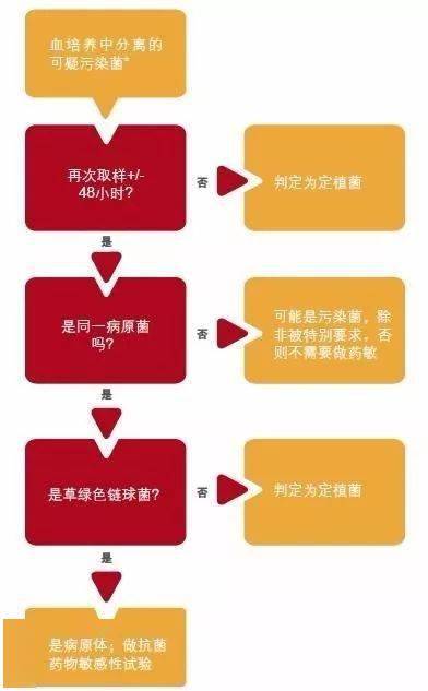 护士你知道吗留个血培养居然还有这些讲究