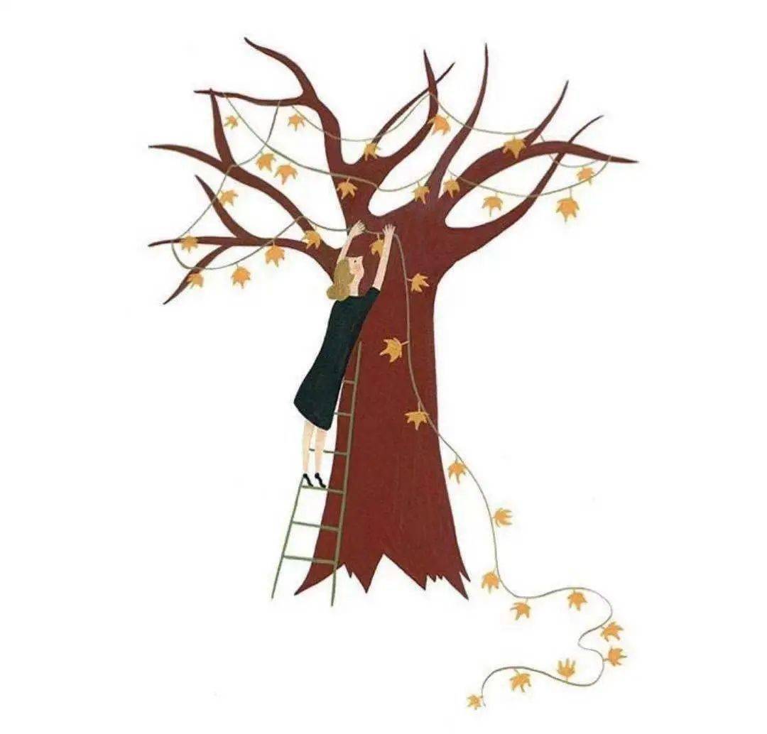 肌肤|护肤｜双十一盛宴 国货分到几杯羹