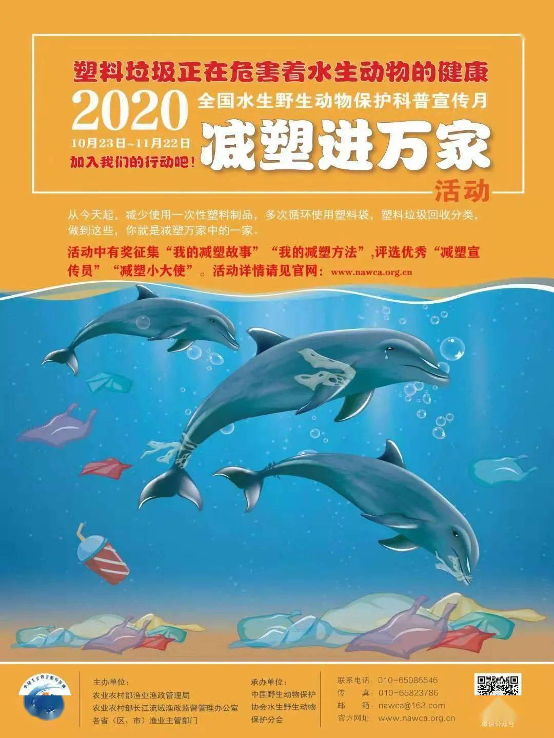 985七色成长营第十五站关爱水生动物减塑我先行