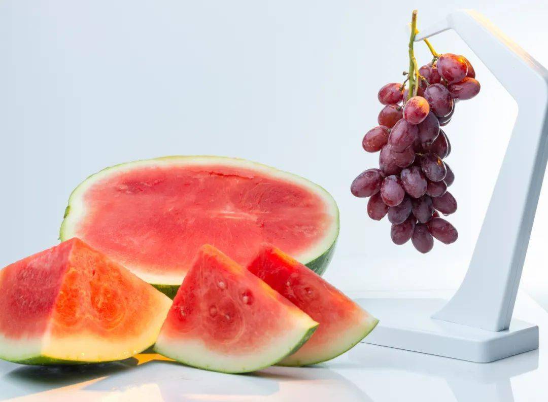 西瓜是怎么变成无籽西瓜的 9d12ccabc15345078a49e7c8f9e47de1.jpeg