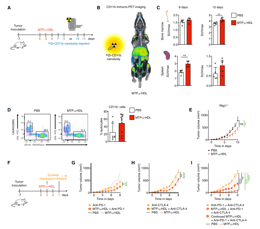 疗法|Cell：促进免疫的纳米生物疗法抑制肿瘤生长和增强检查点抑制