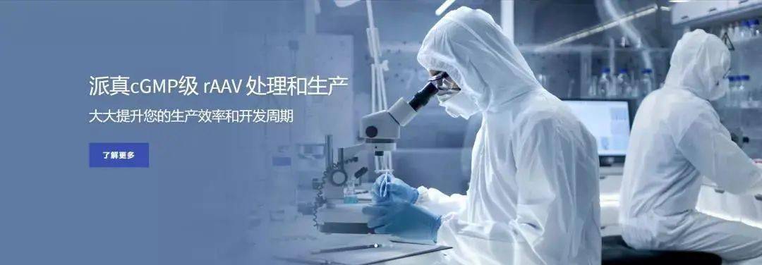 派真生物丨AAV达到99%实心率是一种什么境界？