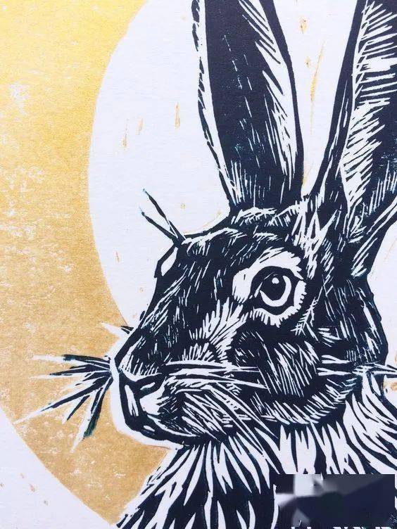 小兔子来啦——13张漂亮的兔子主题黑白装饰画_版画