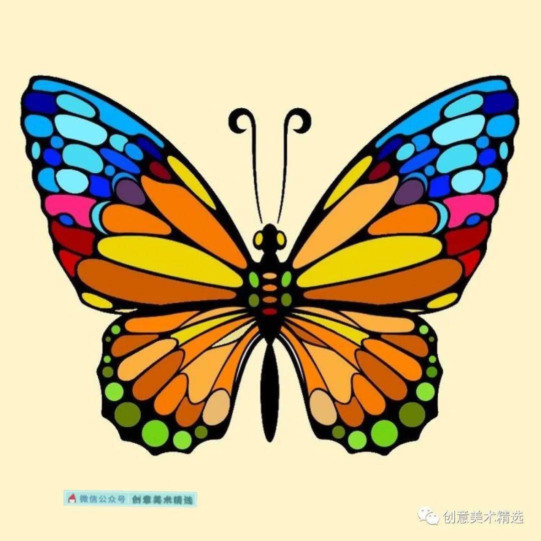 漂亮的蝴蝶主题色彩装饰画,感受线描与色彩的融合之美