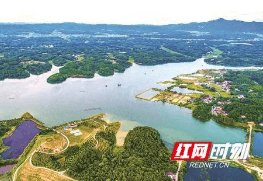 百强市排名2020湖南_2020年度茶业百强县发布,湖南5个县市上榜