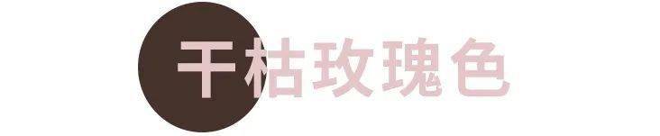 蒙淇淇|20块钱就能买到的绝美腮红？我不信！