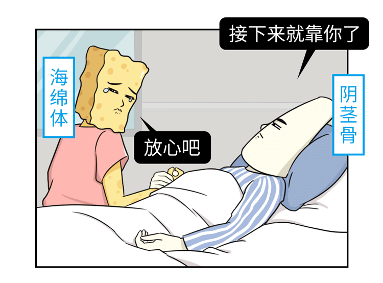 为啥丁丁没有骨头?