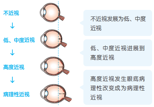 2420387ee6284f9fb2b1302eb98186ec.png