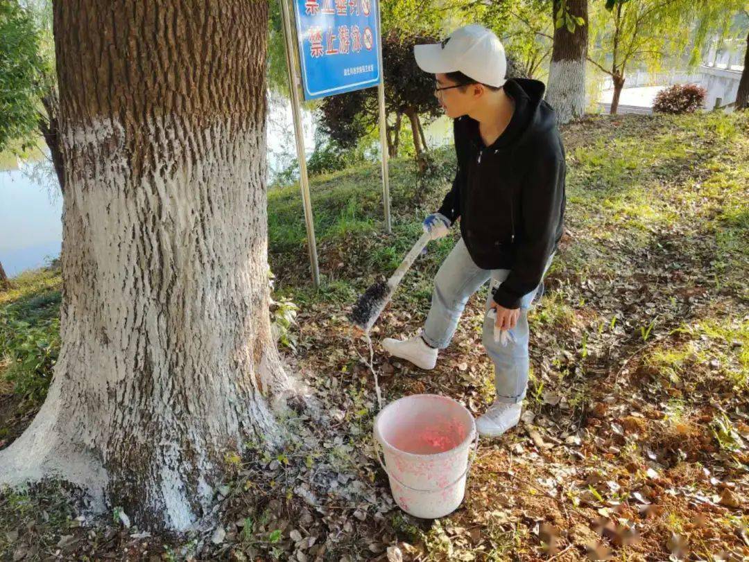 争做护树先锋共建美丽校园资环院我为树木穿新衣通讯报道