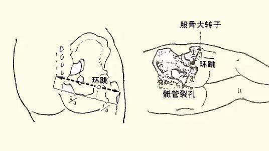 健康养生打开人体8个总开关百病都逃开