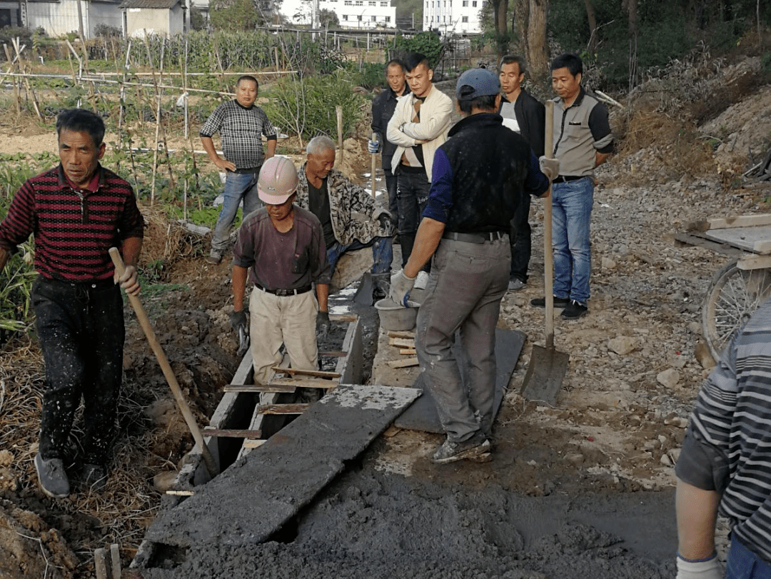 开门一件事 溪南村修水渠,铺道路,务实为民有担当