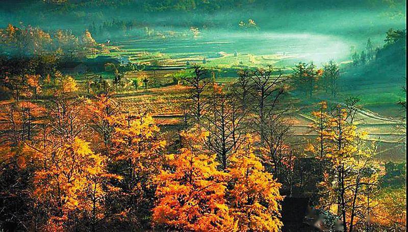 贵港市和桂平gdp哪个强_平南和桂平谁最多高楼(3)