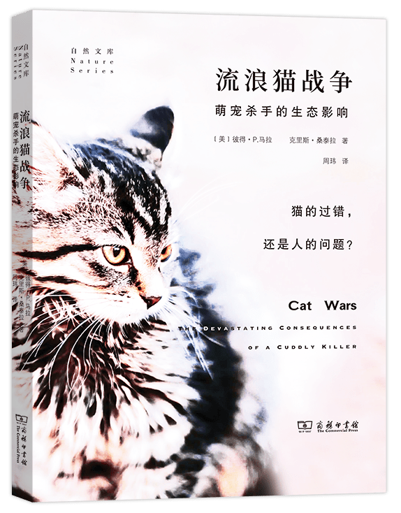 acc964d7cb324b82b1b48e584ec1274f.png
