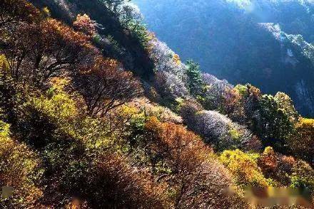 灵宝小秦岭国家级自然保护区秋季美景,随手一拍都是
