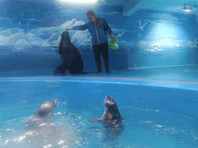 嗨购星期三 | 畅玩不能停,亲子嗨全年,青岛海底世界优惠来啦!