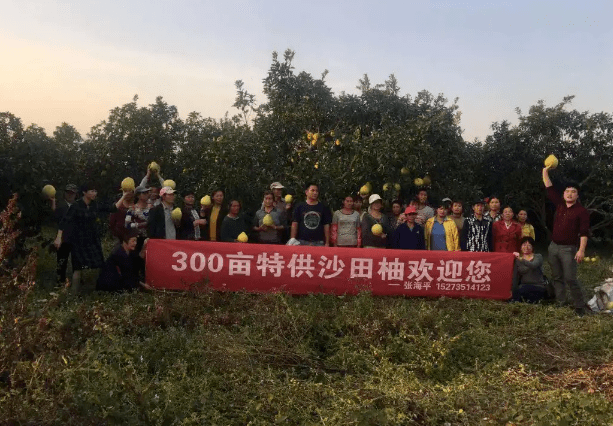 江永多少人口_江永女书图片