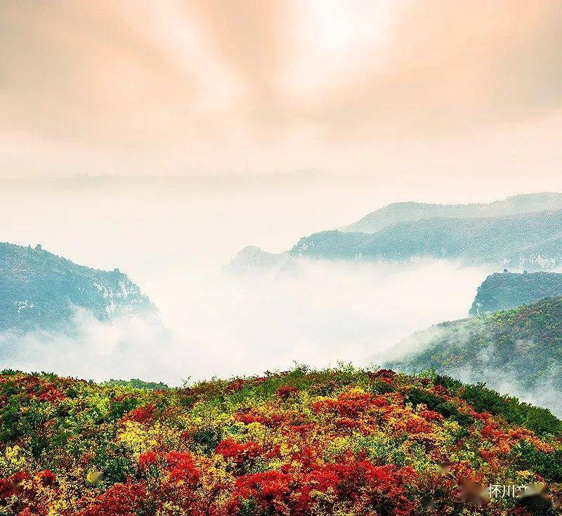 博爱县北部山区人口_博爱县地图