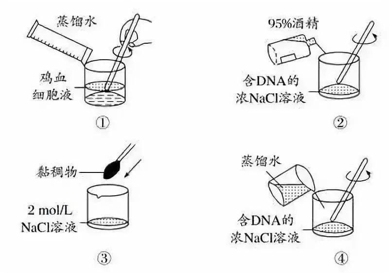 什么叫实验原理 13a5b5ee8cb843c4ae5e6bd7218b03c0.jpeg