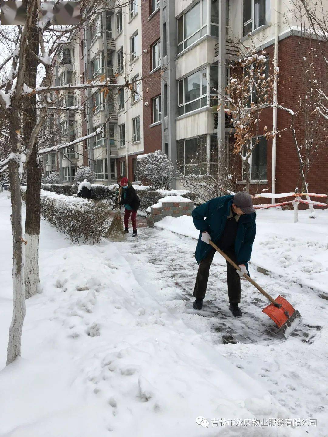 冬雪如约而至永庆物业以雪为令及时清雪保路畅通