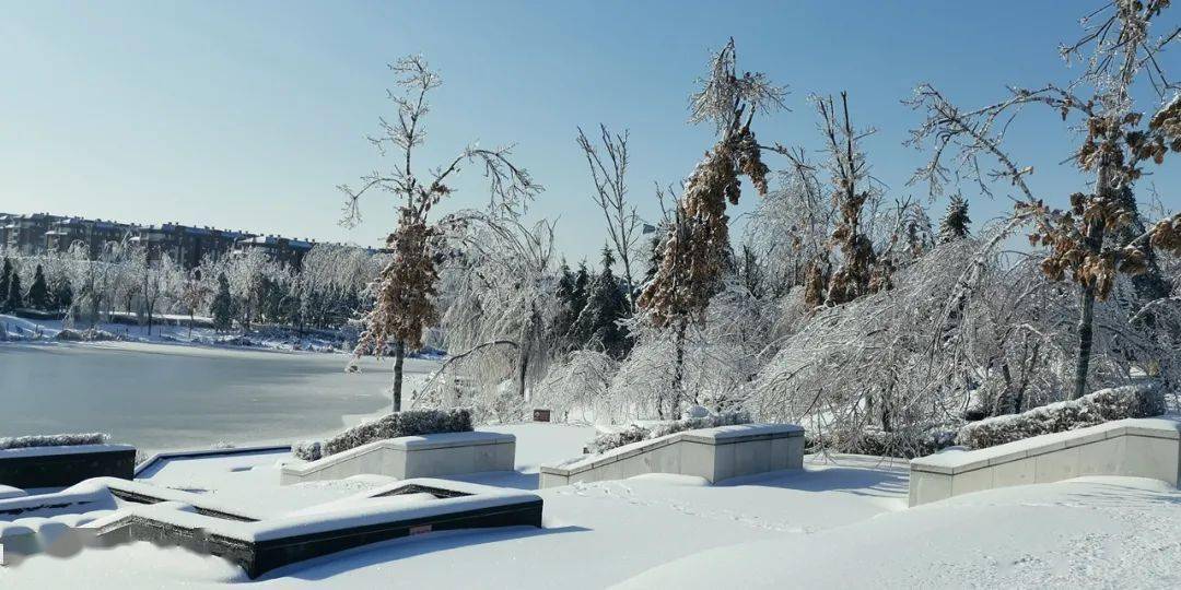 今天长春雪景有多美?看这一条就够了!