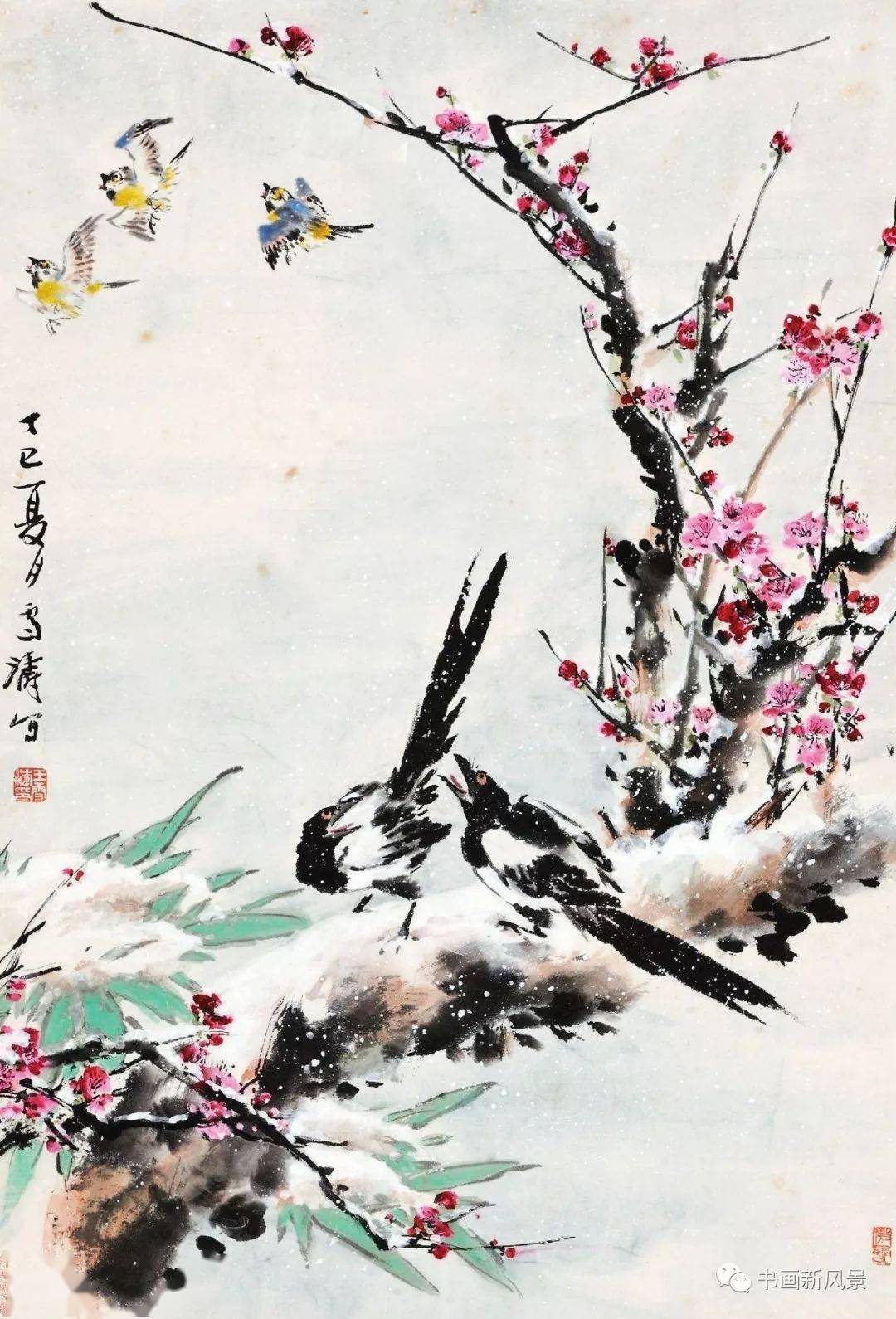 王雪涛画喜鹊精选30幅,养眼!