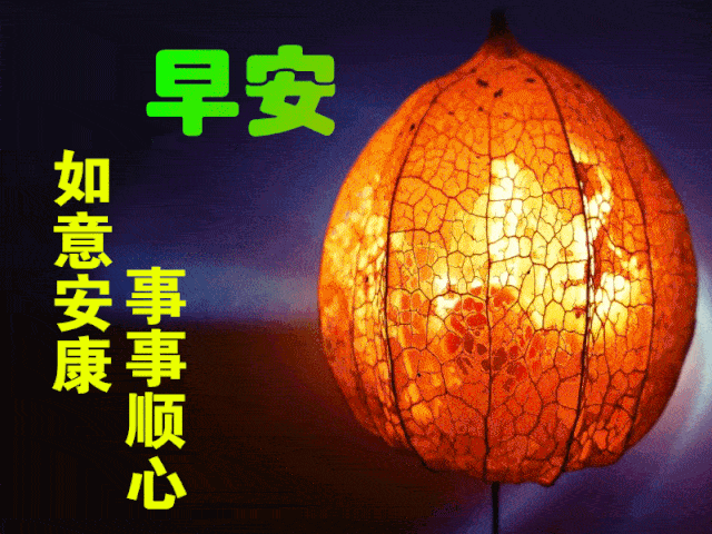 早上好问候美图早安问候语句