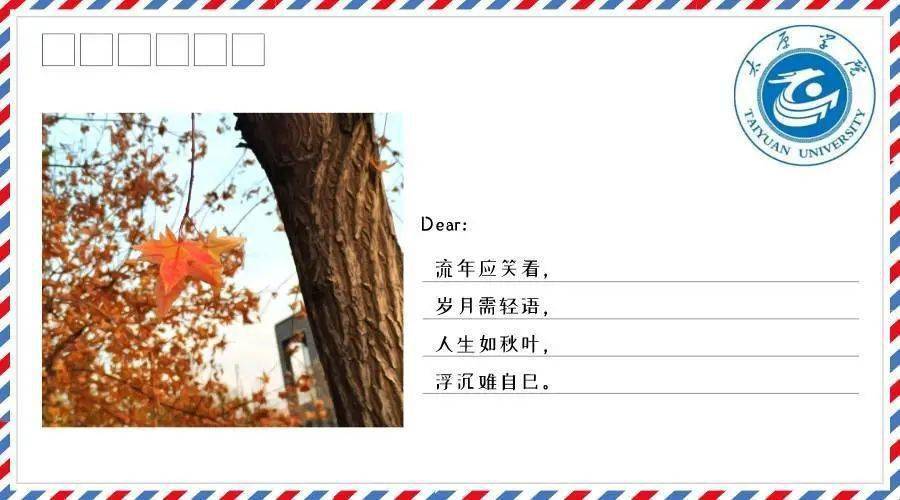 暮秋曲谱_陶笛曲谱12孔(4)