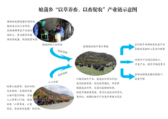 林芝各县经济总量_林芝到各县的分布图(2)