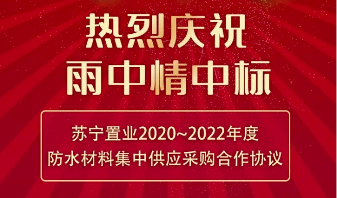 苏宁置业排名_苏宁置业(3)