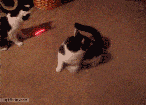 04456b7393f6490f9c4a89e6e69ec002.gif