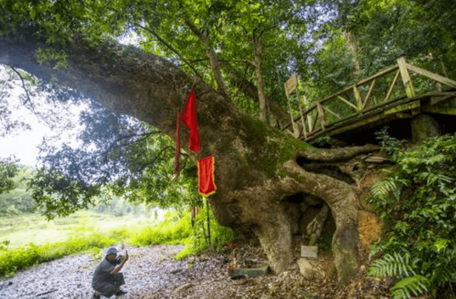 建瓯有多少人口_建瓯光饼(3)