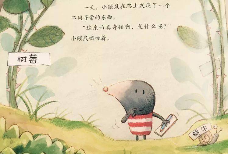 "这东西真奇怪,是什么呢?"小鼹鼠嘀咕着.