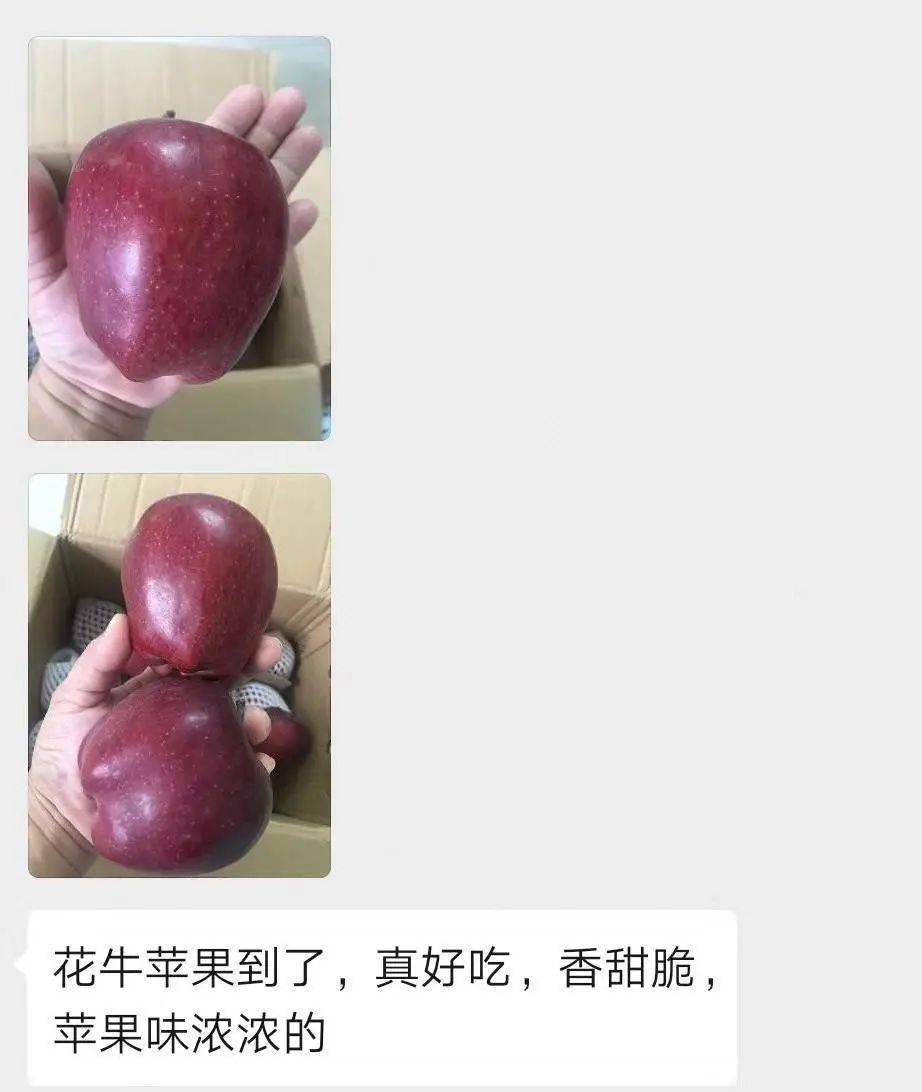 c66005ecda19415da395b730425b78ac.jpeg