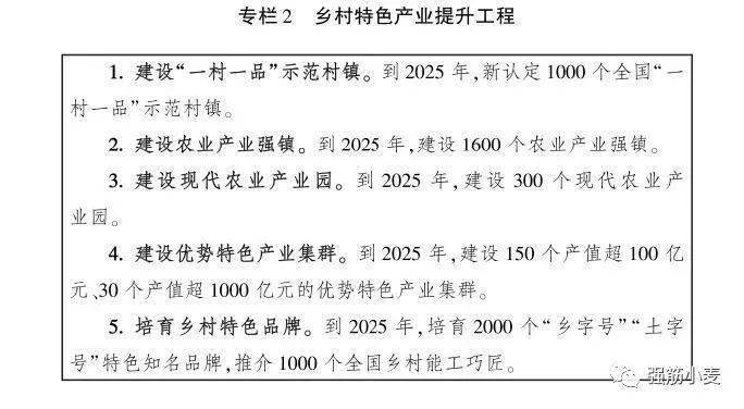 bobty官网入口《天下村落财产成长计划2020一2025年》全文(图3)