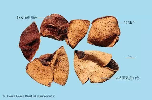 中药怎么这么贵 17677c9085ab43b4b8b4080c8bead561.jpeg