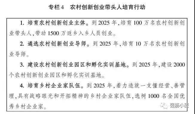 bobty官网入口《天下村落财产成长计划2020一2025年》全文(图5)
