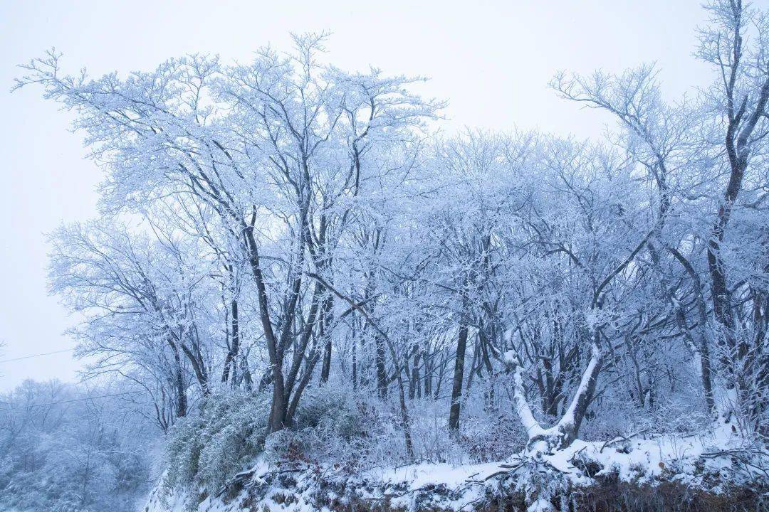 【i生活】安康擂鼓台雪景!美到窒息!