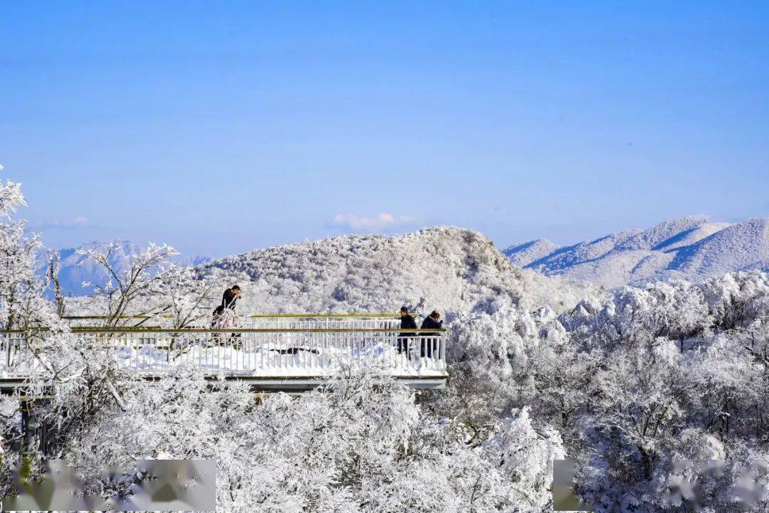 镇巴,宁强,佛坪等多地下雪了 这是今年入冬以来的首场降雪 龙头山雪景