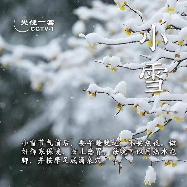 朗诵| 今日小雪:节气里的故事和诗意