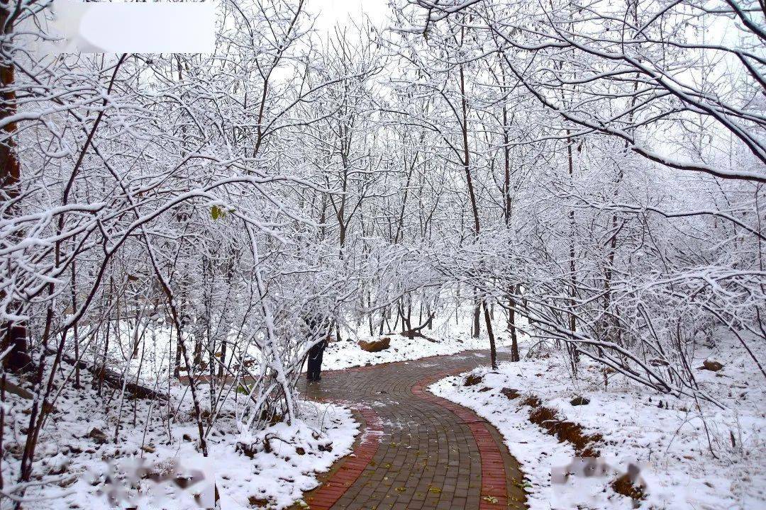 不负初雪冬景美在这里与你邂逅冬雪