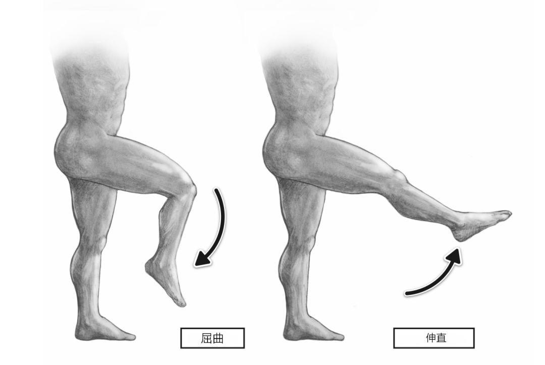 【线上问诊】髌下滑囊炎