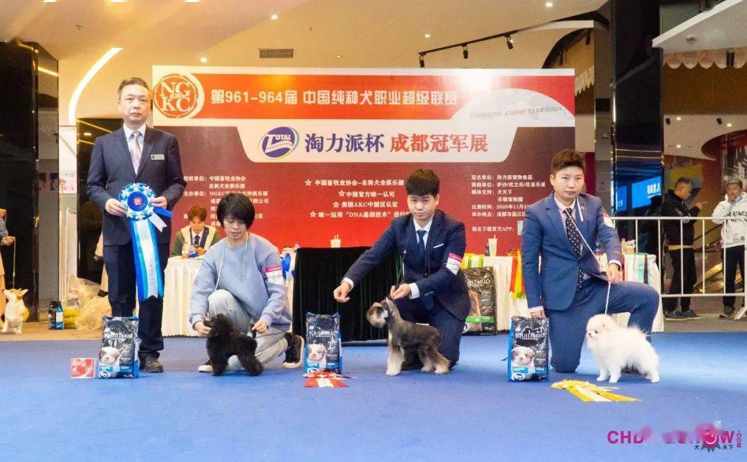 1,玩具贵宾犬文静犬主:陈恒志指导手:2,迷你雪纳瑞榴莲犬主:杨梦超