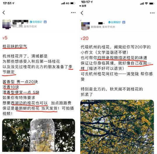 “雪地写字只要五元”，这个钱，四川人怕是赚不到了……