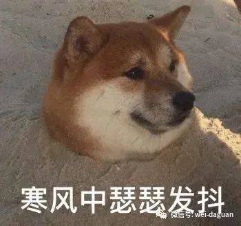 7f060cd71a2248a6b9eb73d94ff01050.jpeg
