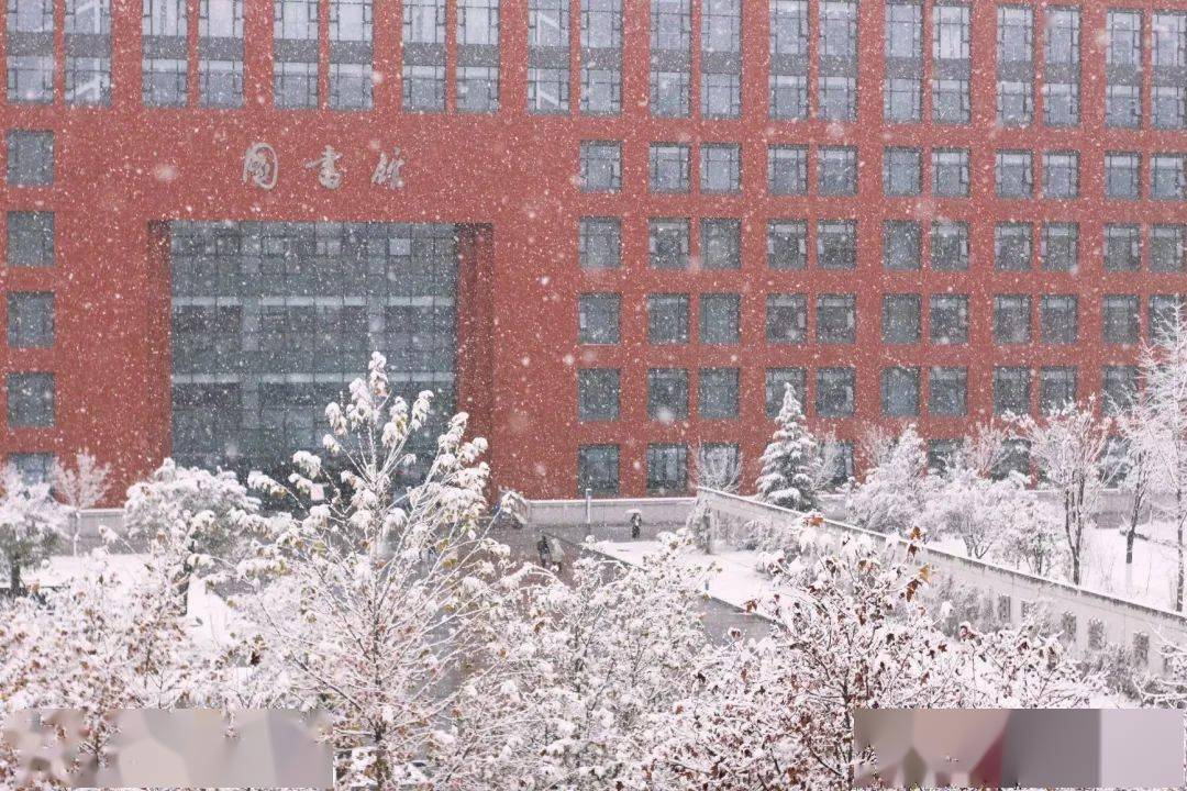 西理初雪图鉴