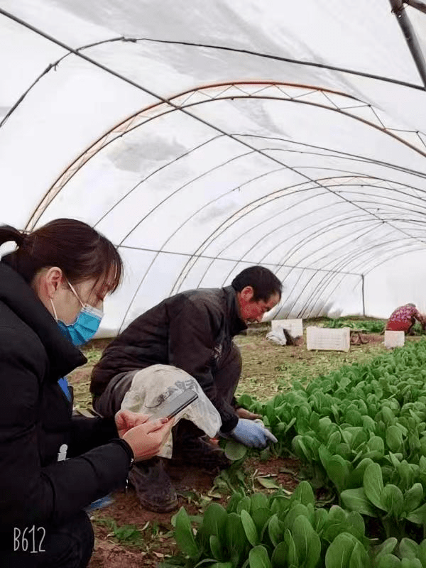 庆阳户籍人口_庆阳香包